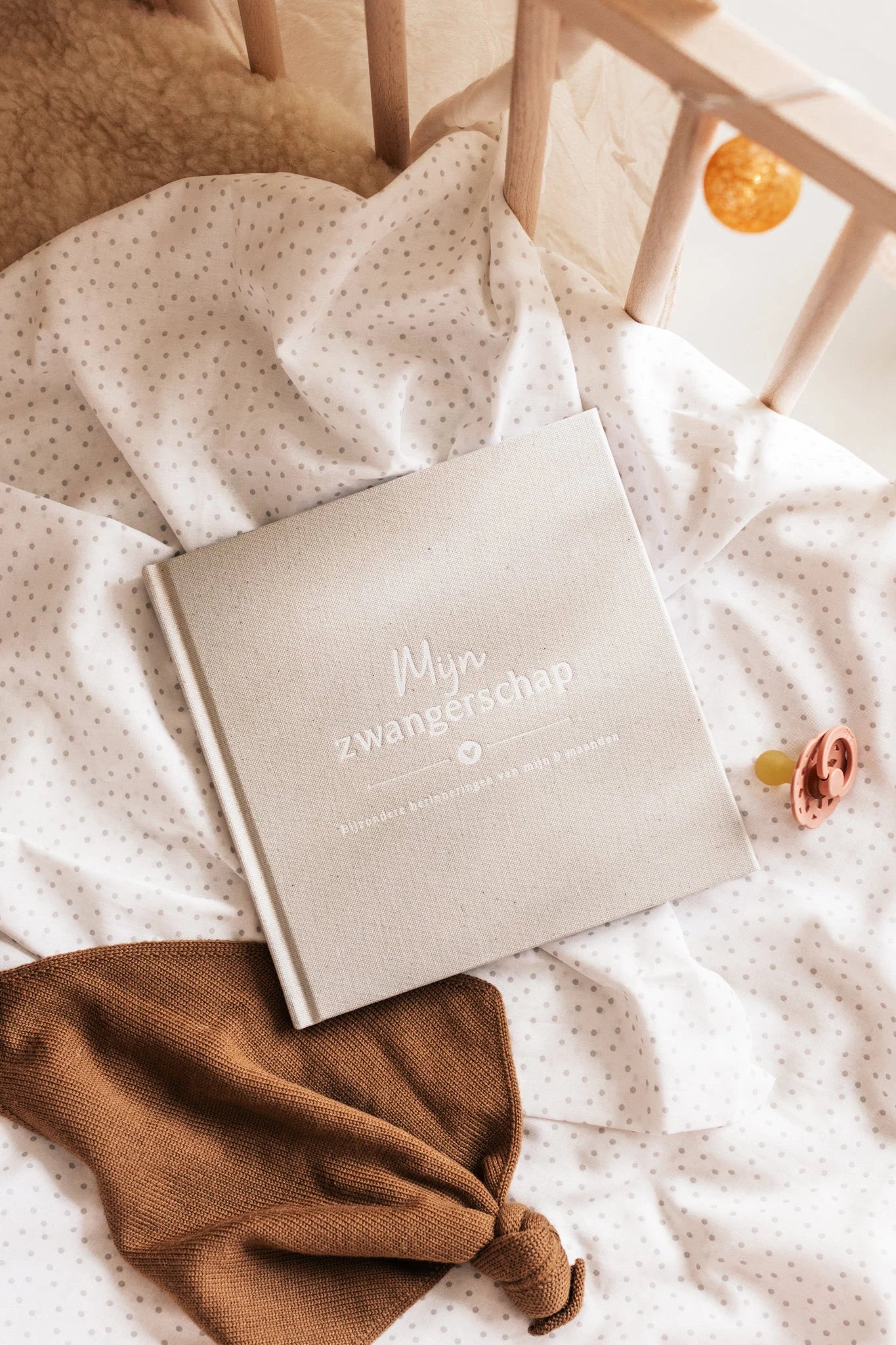 Mijn Zwangerschap invulboek